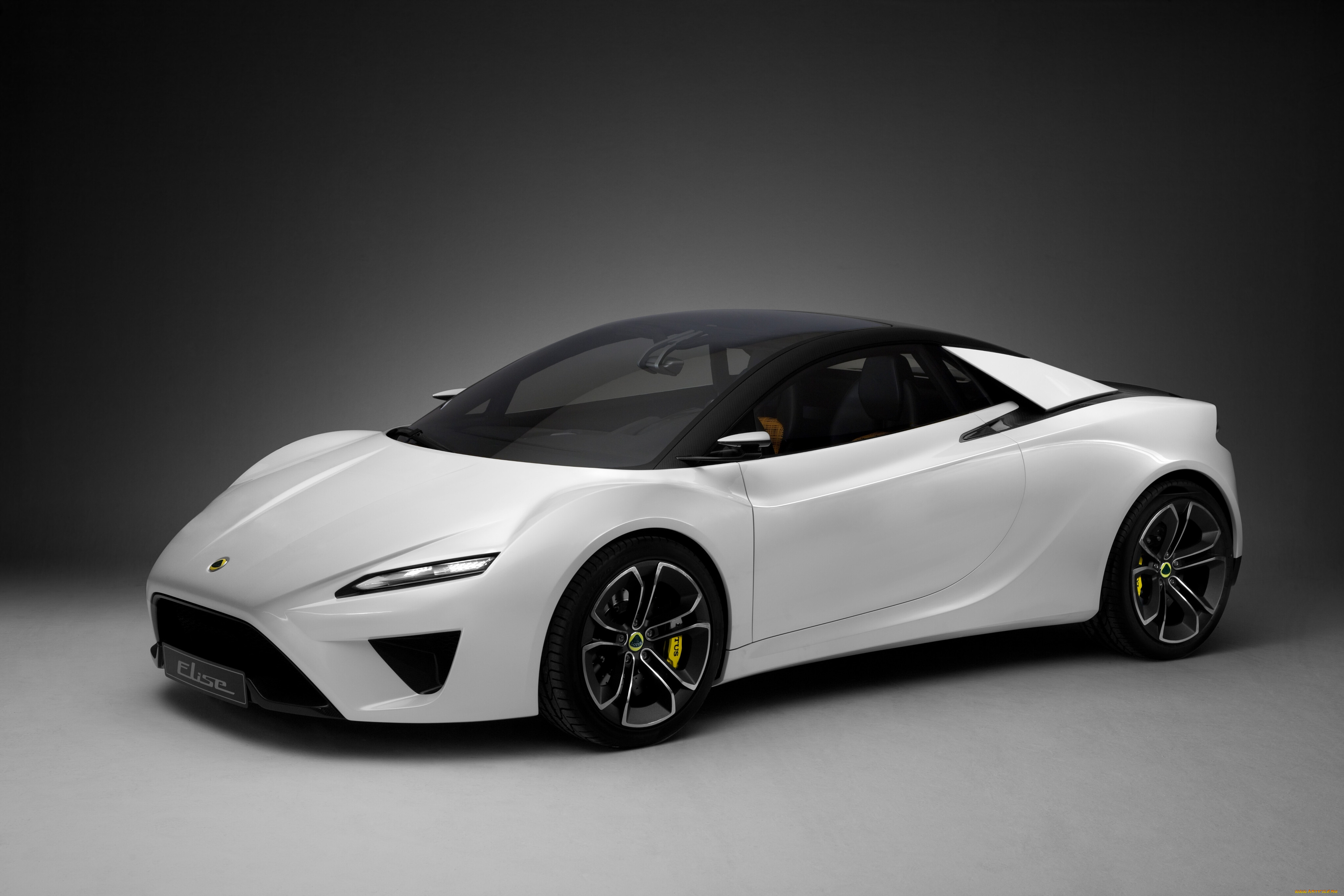 , lotus